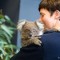 wombat tour cuddle koala